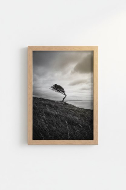 Sheep_Field_1758286_mockup1_closeup.png