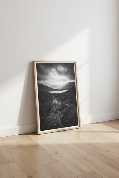 Highland Cow Wall Art Print | Black and White Scotland Decor | Moody Nature Poster