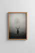 Deer Photography Print | Moody Nature Forest Stag, Black and White Wall Art