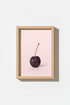 SingleCherry_PinkBackground_114357-171242-QKY_closeup_shot1.png