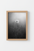 Moody Floral Wall Art | Black and White Botanical Print, Minimalist Bedroom Decor