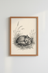 Sleeping Fox Ink Illustration | Woodland Meadow Sketch, Nursery Living Room Decor