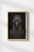 SphynxCat_CloseUp_8079897-171242-QKY_closeup_shot1.png
