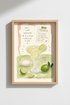 Spicy_Margs_7076423_mockup1_closeup.png
