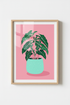 Spotted_Begonia_8373285_mockup1_closeup.png