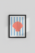 Starfish_Stripe_3138132-084420-GRV_closeup_shot1.png