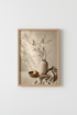StillLife_Lemons_Vases_6473029-180628-MF0_closeup_shot1.png