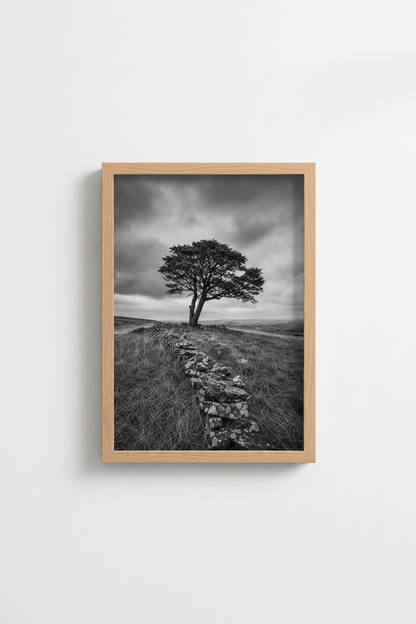 Nature Landscape Print | Black and White Tree Poster, Minimalist Living Room Art