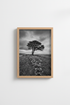 Nature Landscape Print | Black and White Tree Poster, Minimalist Living Room Art