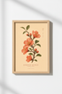 StripedCamellias_Artwork_8637974-185601-EXY_closeup_shot1.png