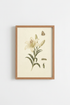 Sunflower_Butterflies_7383763-172001-0P0_closeup_shot1.png