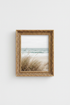 Surfboard_Beach_5992651-073756-15M_closeup_shot1.png