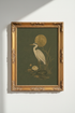 Swan_Painting_4831283-075314-FCE_closeup_shot1.png