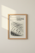 Sycamore_Gap_5873582-233958-L7Y_closeup_shot1.png