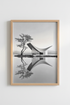 SydneyOperaHouse_6711669_mockup1_closeup.png