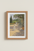 Tennis_Orchard_3864106-232359-8O5_closeup_shot1.png