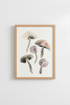 ThreeFish_0637855-233958-L7Y_closeup_shot1.png