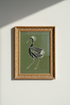 ThreeZebras_Running_8558650-165855-6KF_closeup_shot1.png