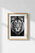 TigerFace_BW_107312-135132-RWO_closeup_shot1.png