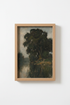 TreeByWater_9300737-232359-8O5_closeup_shot1.png