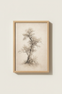 TreeIllustration_3207550-224935-GIF_closeup_shot1.png