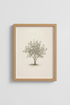 TreeIllustration_8114661-224833-9PV_closeup_shot1.png