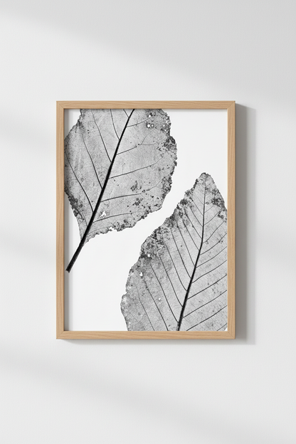 TreeRings_100850-135132-RWO_closeup_shot1.png