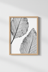 TreeRings_100850-135132-RWO_closeup_shot1.png