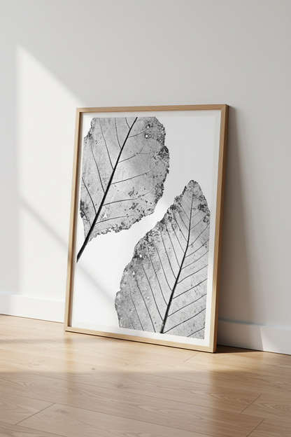 TreeRings_100850-135132-RWO_floor_shot2.png