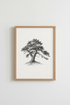 Tree_Illustration_0832588-224935-GIF_closeup_shot1.png