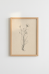 Tulips_Sketch_5161844-172001-0P0_closeup_shot1.png
