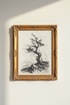 Twisted_Trees_8121213-075306-PTO_closeup_shot1.png