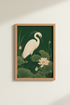 TwoCockatoos_3885423-151625-0KD_closeup_shot1.png