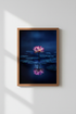 WaterLily_Reflection_126214-171242-QKY_closeup_shot1.png