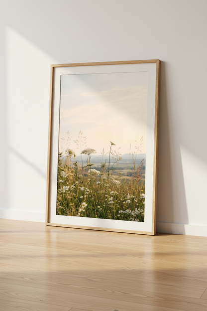 Wildflower Meadow Art | Golden Hour Nature Photography, Soft Neutral Decor
