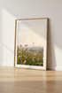 Wildflower Meadow Art | Golden Hour Nature Photography, Soft Neutral Decor