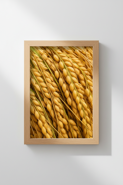 Wheat_Field_187260-171209-S1U_closeup_shot1.png