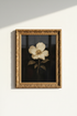WhiteButterfly_Framed_4554377-075314-FCE_closeup_shot1.png