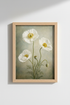 WhiteCosmos_5106421-171242-QKY_closeup_shot1.png