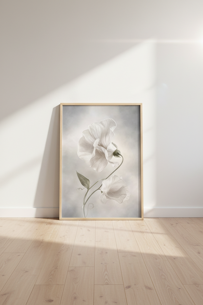 WhiteCosmos_Bud_9646698-171242-QKY_floor_shot2.png