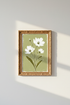 WhiteDaisies_GreenBackground_0388802-191959-ECC_closeup_shot1.png