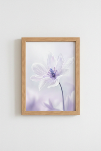 WhiteFlower_BlueCenter_126219-171242-QKY_closeup_shot1.png