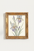 WhiteFlowers_9479809-165855-6KF_closeup_shot1.png