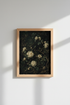 WhiteFlowers_DarkLeaves_9962584-195448-T8J_closeup_shot1.png