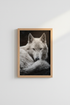 WhiteHorseCloseUp_734709-171242-QKY_closeup_shot1.png