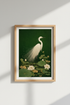 WhitePeacockDisplay_2198355-185601-EXY_closeup_shot1.png