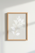 WhitePeony_4932841-171242-QKY_closeup_shot1.png