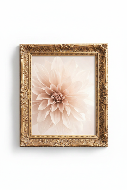 WhitePoppy_8158708-073756-15M_closeup_shot1.png