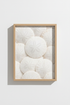 WhiteShells_121910-171242-QKY_closeup_shot1.png
