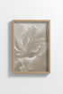 White_Peony_112424-135132-RWO_closeup_shot1.png